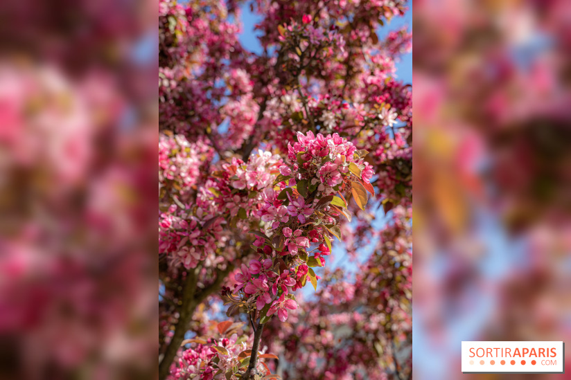 Jardin Catherine Labouré et le Jardin du Potager
