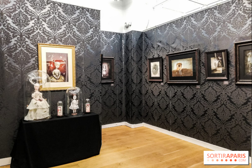 Shizen, l'expo gratuite de Benjamin Lacombe à la galerie Daniel Maghen - nos photos