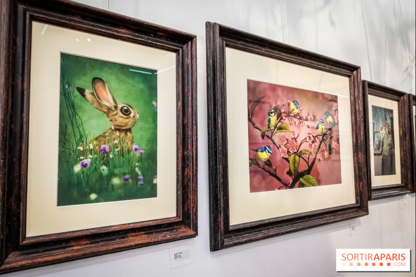 Shizen, l'expo gratuite de Benjamin Lacombe à la galerie Daniel Maghen - nos photos