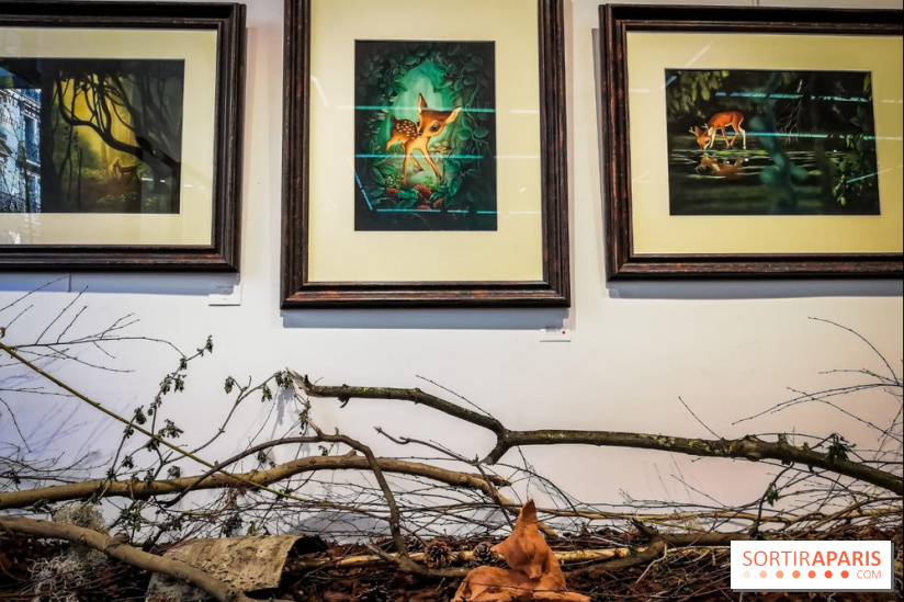 Shizen, l'expo gratuite de Benjamin Lacombe à la galerie Daniel Maghen - nos photos