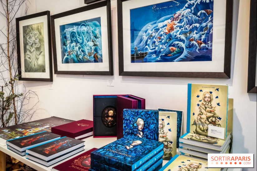 Shizen, l'expo gratuite de Benjamin Lacombe à la galerie Daniel Maghen - nos photos