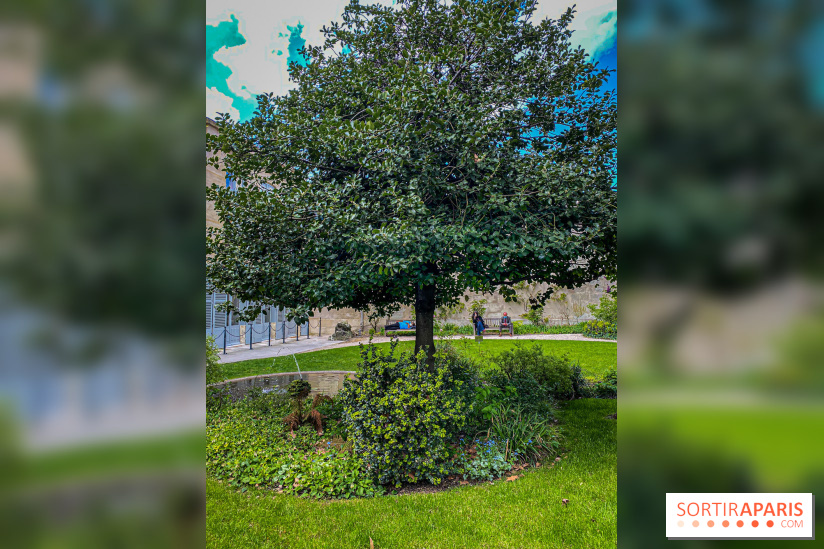 Les jardins des Archives, un écrin de verdure au cœur de Paris