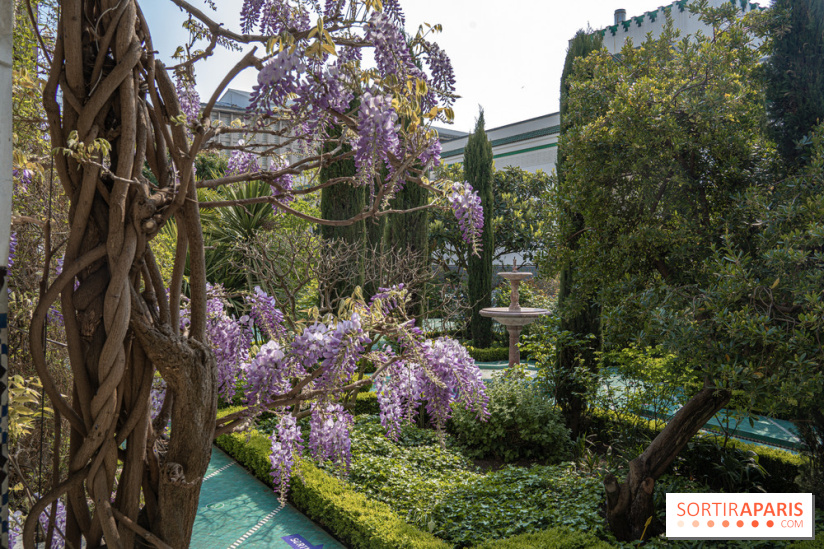 La Mosquée de Paris et son jardin en fleurs
