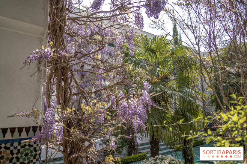 La Mosquée de Paris et son jardin en fleurs