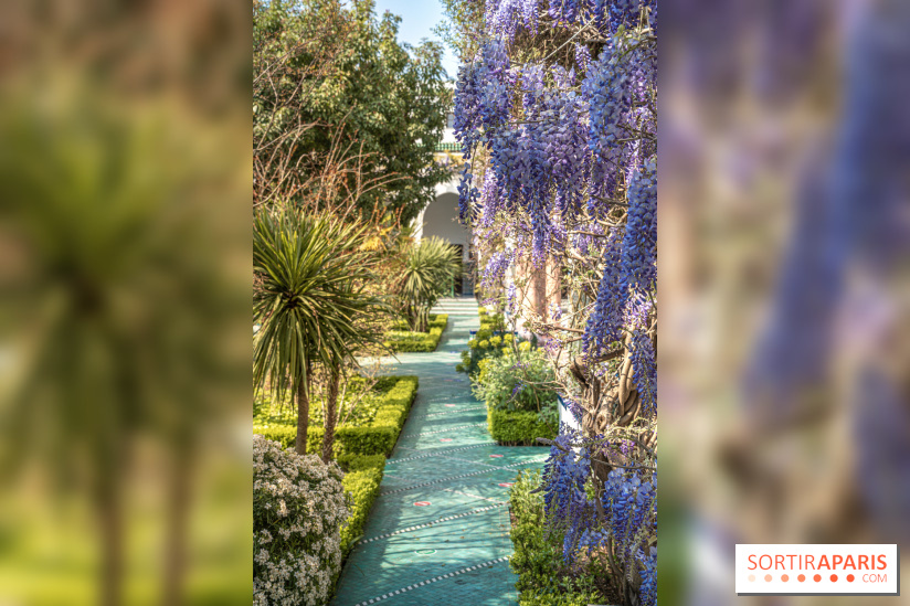 La Mosquée de Paris et son jardin en fleurs