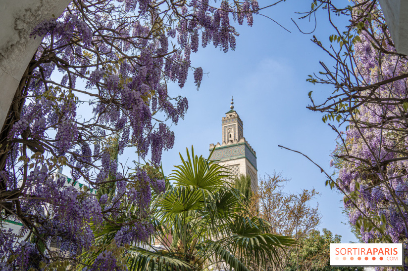 La Mosquée de Paris et son jardin en fleurs