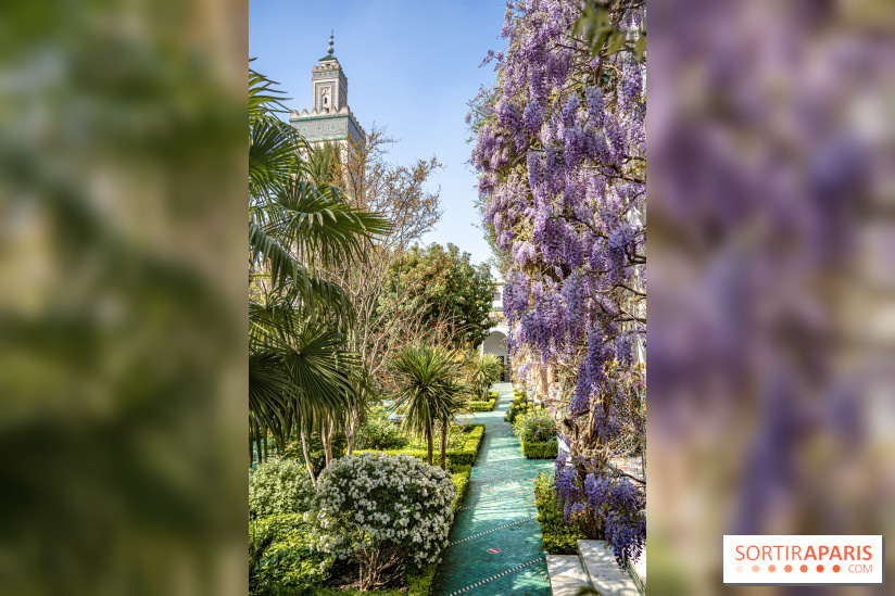 La Mosquée de Paris et son jardin en fleurs