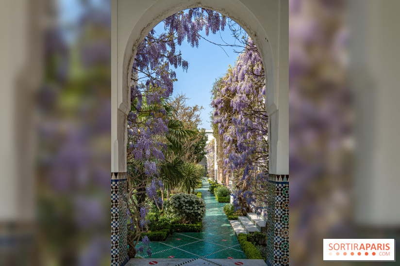 La Mosquée de Paris et son jardin en fleurs