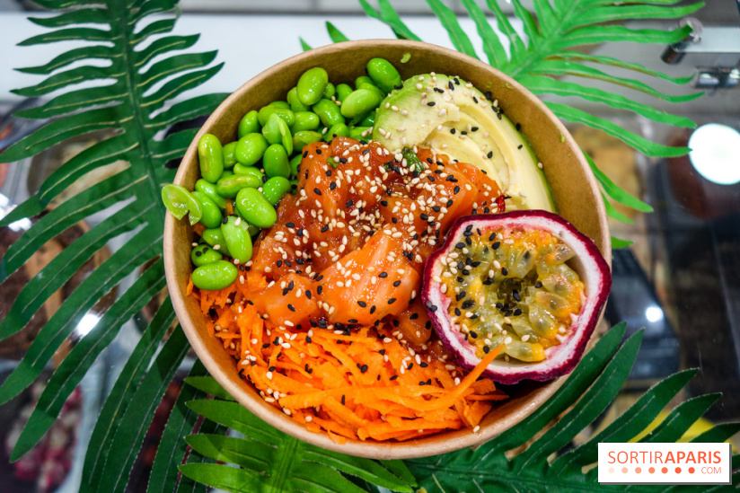 Pokelife, les photos