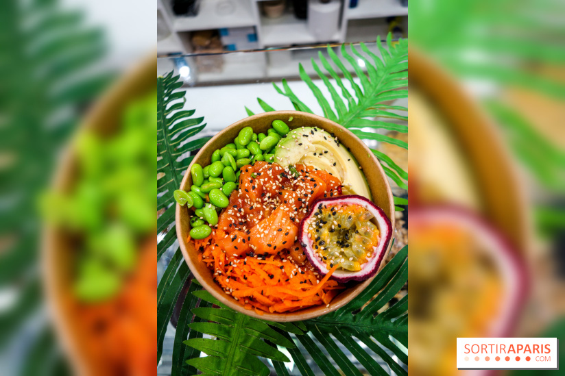 Pokelife, les photos