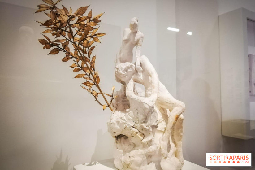 Picasso-Rodin : l'exposition se prolonge au Musée Rodin - nos photos