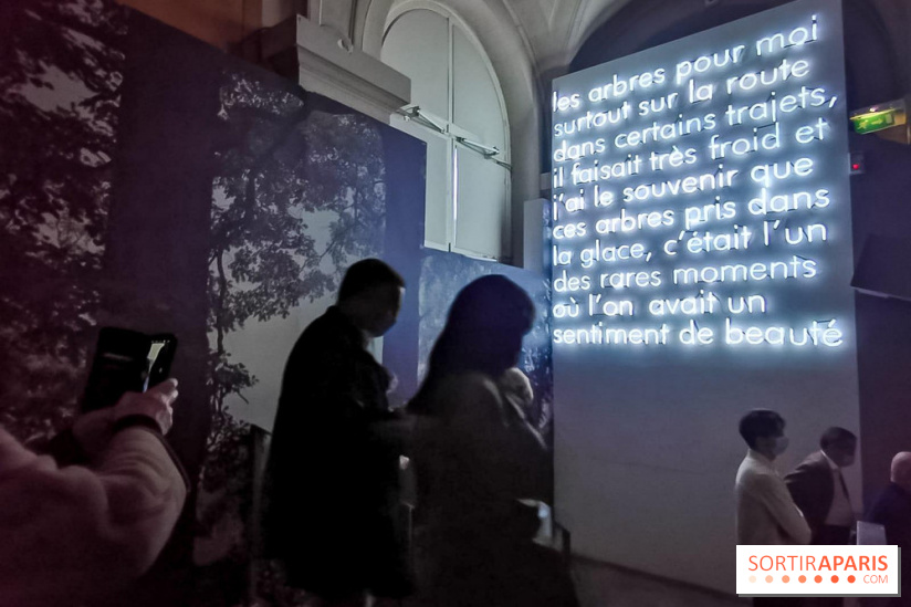 Nous vous aimons, Madame : l'expo hommage à Simone Veil à l'Hôtel de Ville de Paris - nos photos