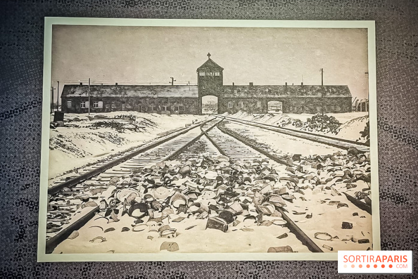 Nous vous aimons, Madame : l'expo hommage à Simone Veil à l'Hôtel de Ville de Paris - nos photos