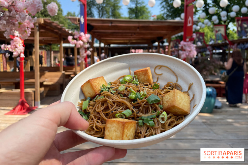 Hanami Paris, Ła terrasse éphémère du Trocadéro - IMG 4492