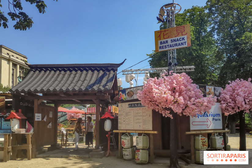 Hanami Paris, Ła terrasse éphémère du Trocadéro - IMG 20230616 120439