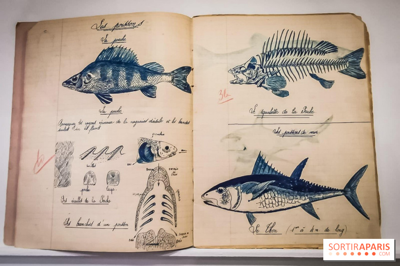 Uderzo, comme une potion magique : l'exposition hommage au Musée Maillol - nos photos