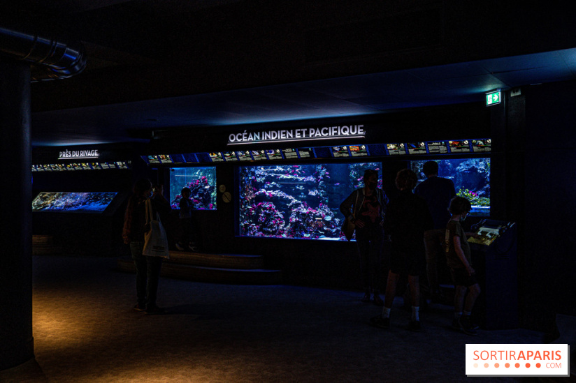 L'Aquarium Tropical de la Porte Dorée