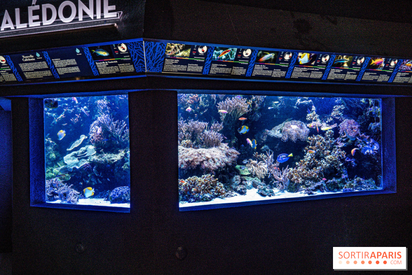 L'Aquarium Tropical de la Porte Dorée