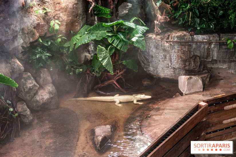 L'Aquarium Tropical de la Porte Dorée