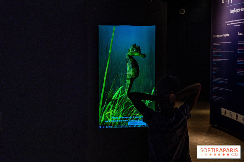 L'Aquarium Tropical de la Porte Dorée