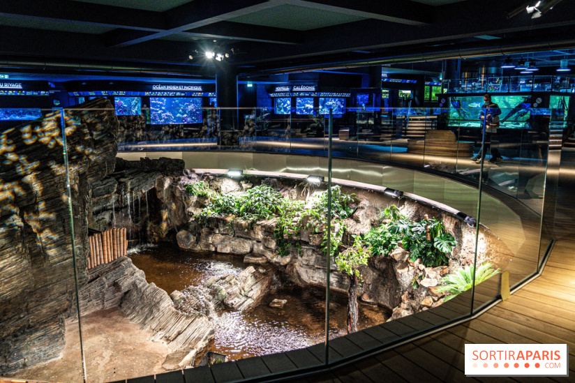 L'Aquarium Tropical de la Porte Dorée