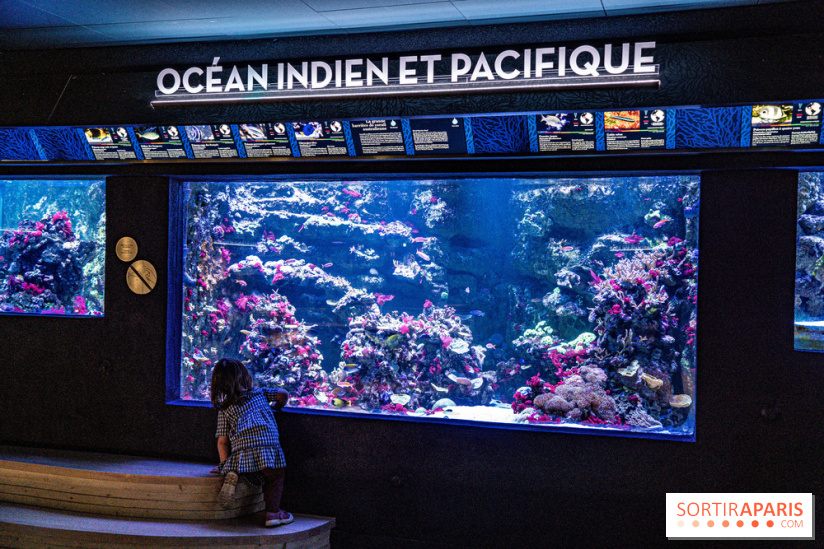 L'Aquarium Tropical de la Porte Dorée