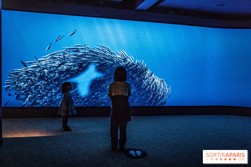 L'Aquarium Tropical de la Porte Dorée