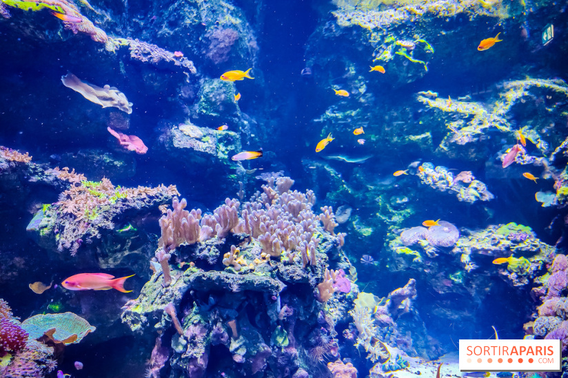 L'Aquarium Tropical de la Porte Dorée