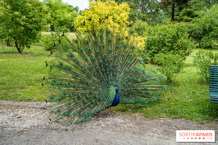 Le Parc de Bagatelle