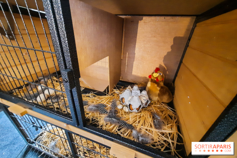 Le « Dîner avec les poules », nos photos