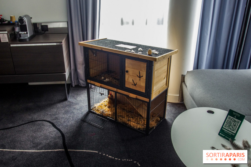 Le « Dîner avec les poules », nos photos