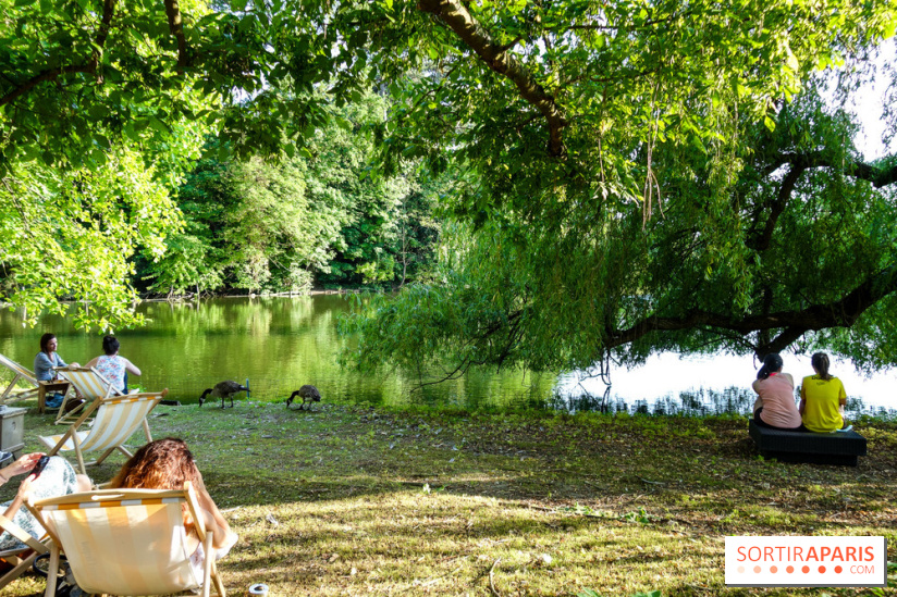 Rosa à l'Est - Porte Jaune, nos photos