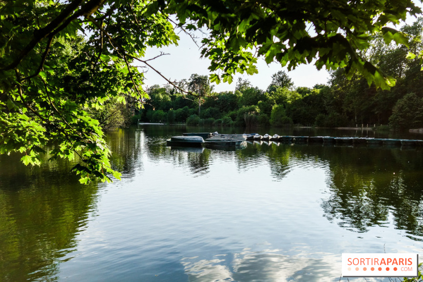 Rosa à l'Est - Porte Jaune, nos photos