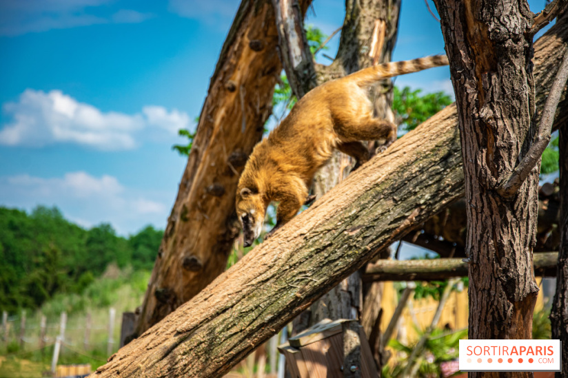 Parrot World, le parc animalier immersif d'Île-de-France