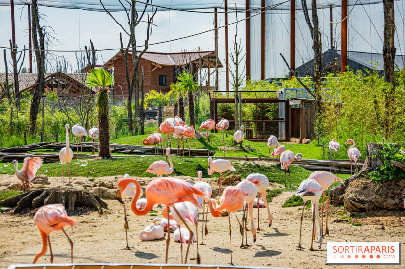 Parrot World, le parc animalier immersif d'Île-de-France