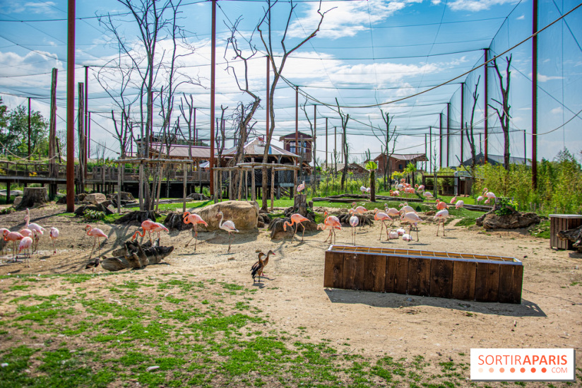 Parrot World, le parc animalier immersif d'Île-de-France