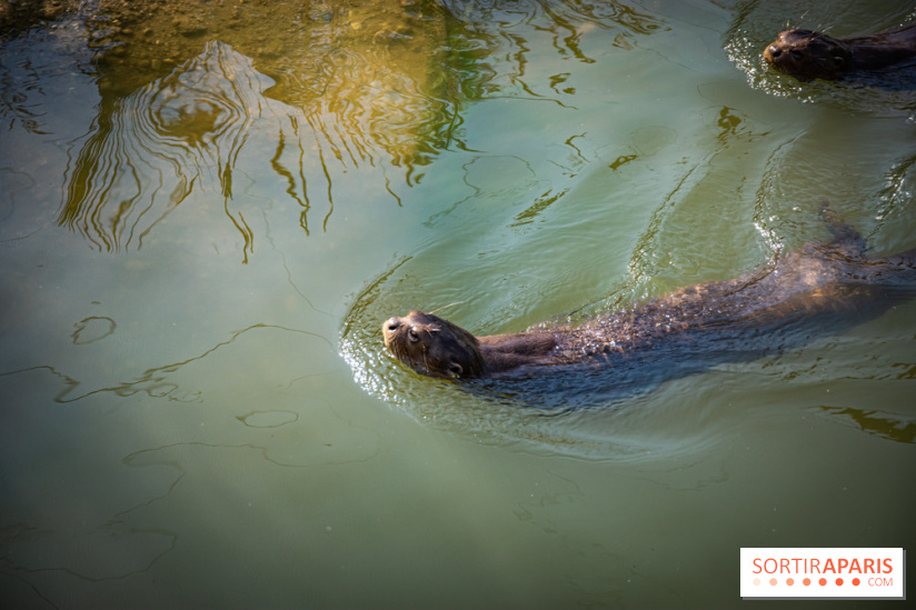 Parrot World, le parc animalier immersif d'Île-de-France