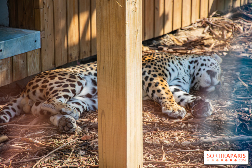 Parrot World, le parc animalier immersif d'Île-de-France