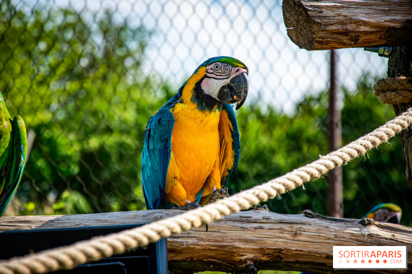 Parrot World, le parc animalier immersif d'Île-de-France