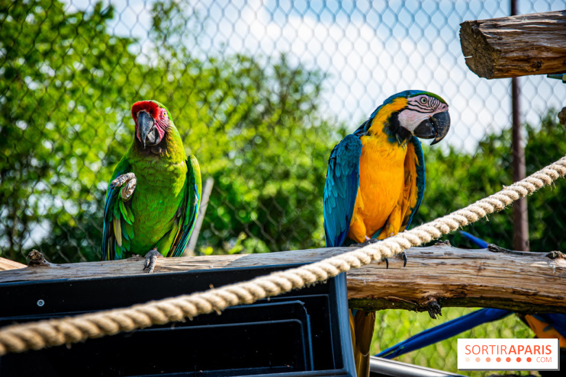 Parrot World, le parc animalier immersif d'Île-de-France