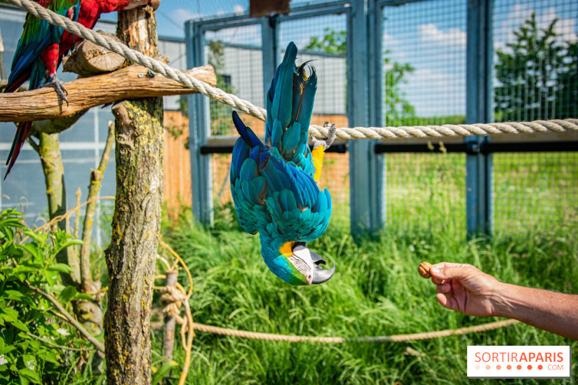 Parrot World, le parc animalier immersif d'Île-de-France