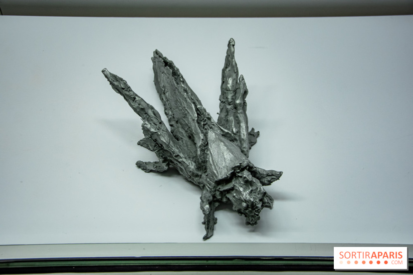 Surface Horizon, l'exposition à Lafayette Anticipations : nos photos