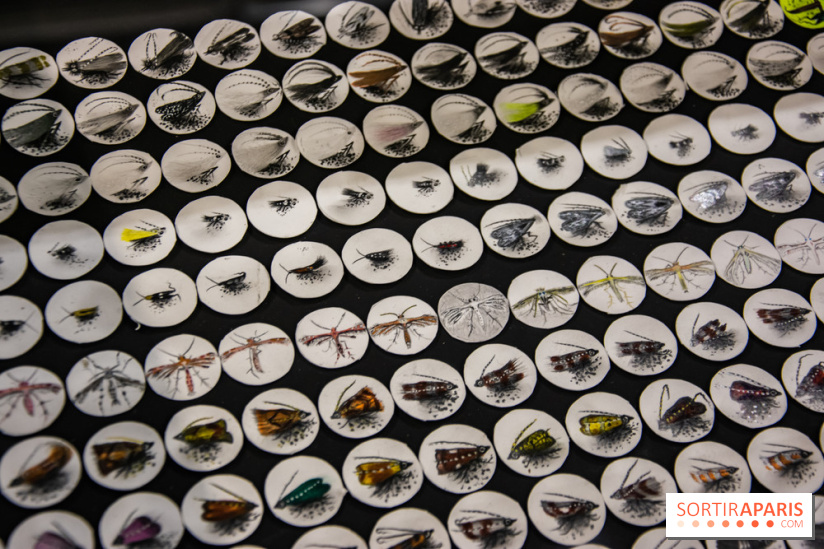 Drawing Power - Children of Compost, l'exposition au Drawing Lab