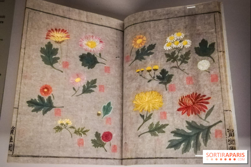 Jardins d'Asie, l'exposition dépaysante du Musée Guimet - nos photos