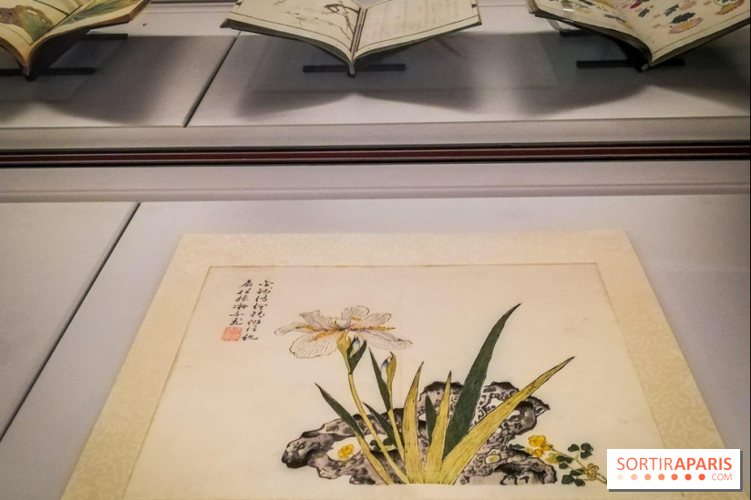 Jardins d'Asie, l'exposition dépaysante du Musée Guimet - nos photos