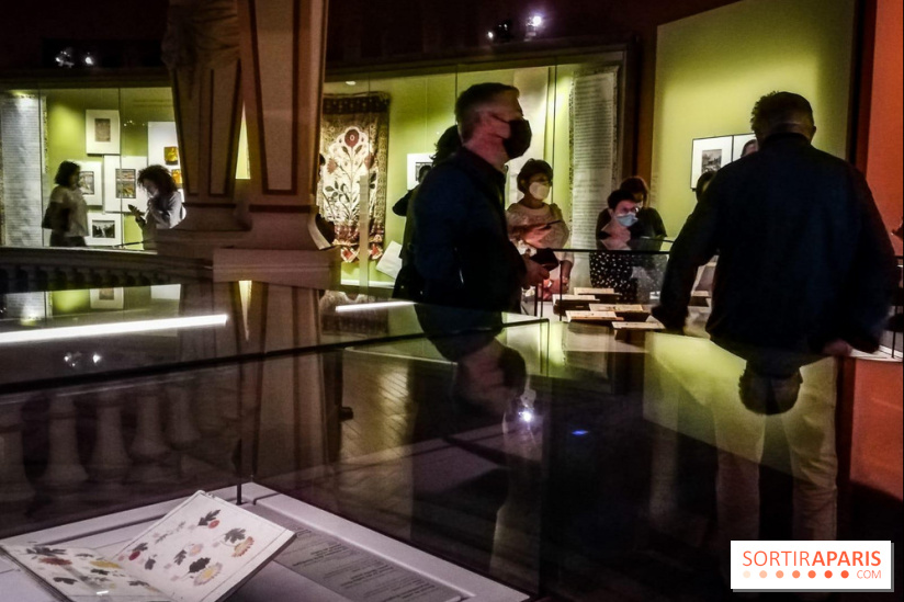 Jardins d'Asie, l'exposition dépaysante du Musée Guimet - nos photos