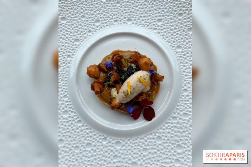 Oiseau Blanc Peninsula