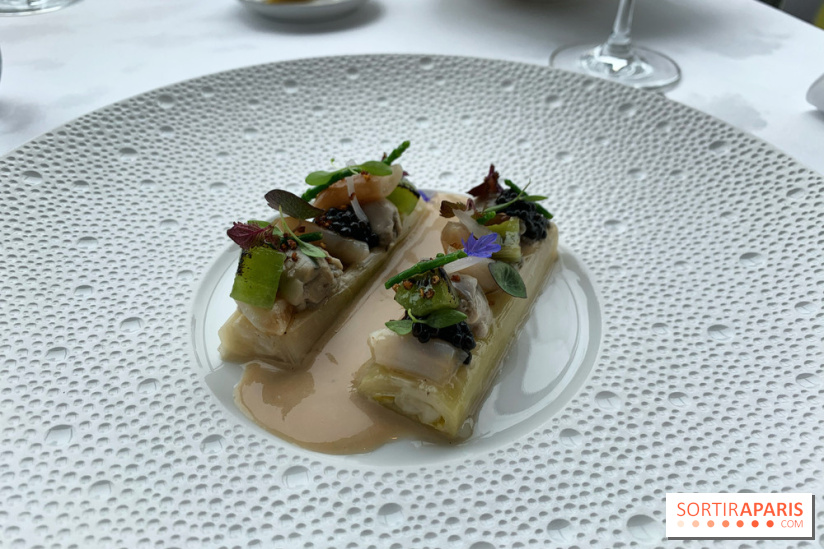 Oiseau Blanc Peninsula