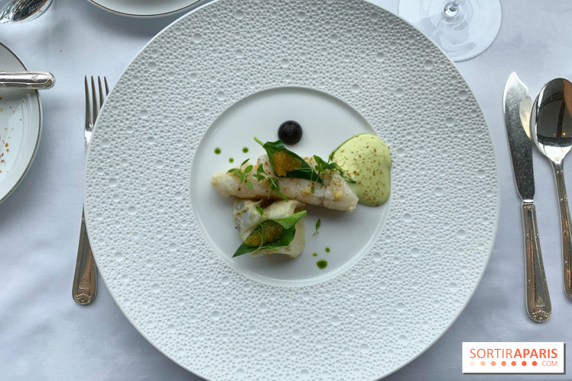 Oiseau Blanc Peninsula