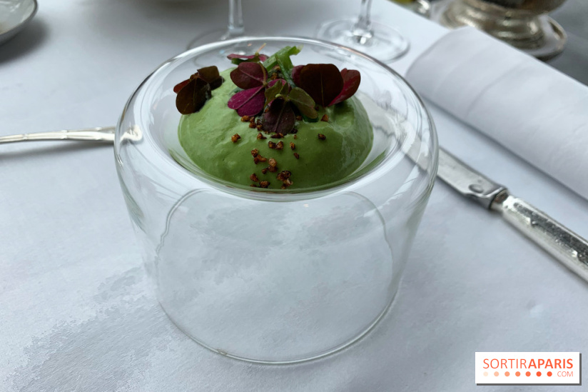 Oiseau Blanc Peninsula